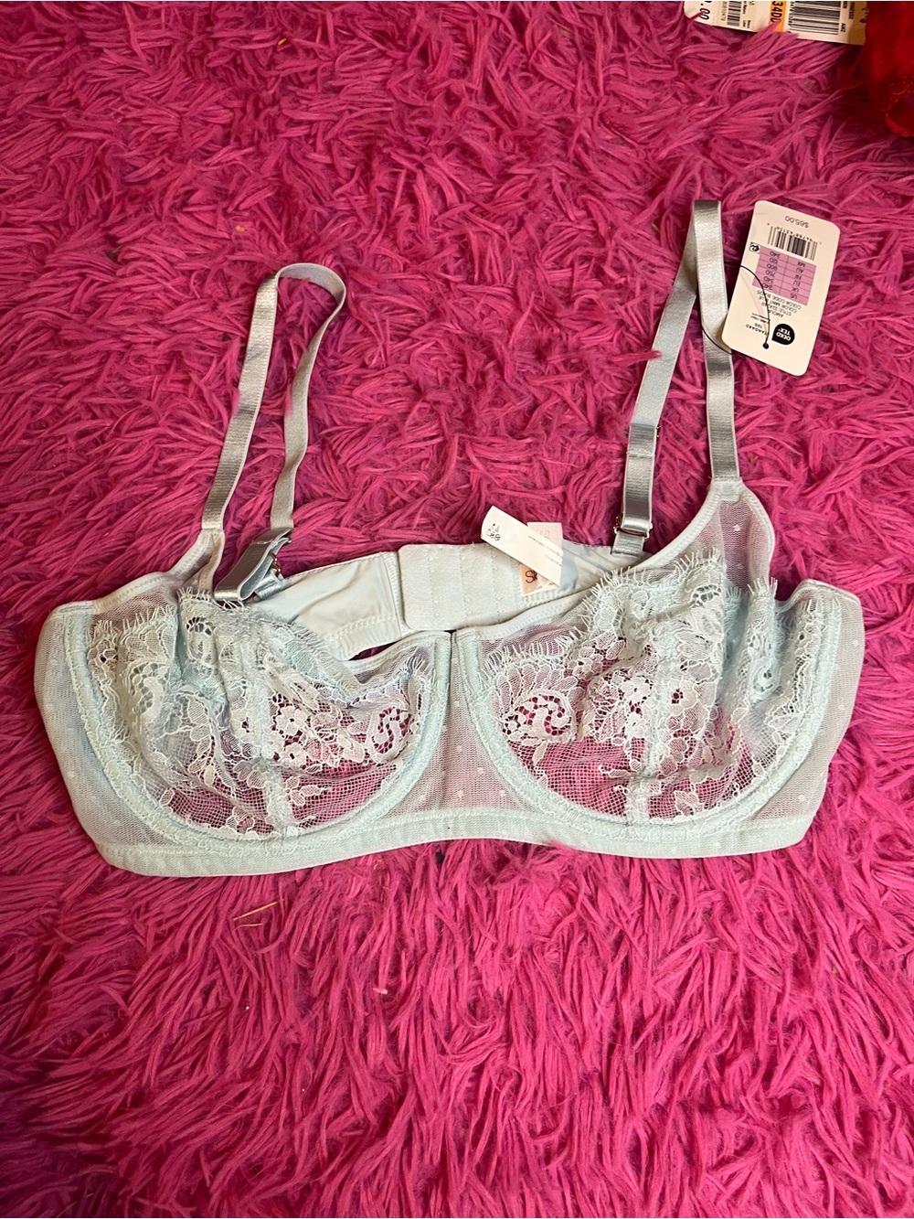 Skarlett Blue Pale Blue Lace Underwire Bra